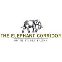 The Elephant Corridor